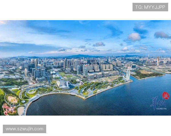 深圳企业家创新驱动引领湾区高质量发展新篇章打造全球竞争力示范